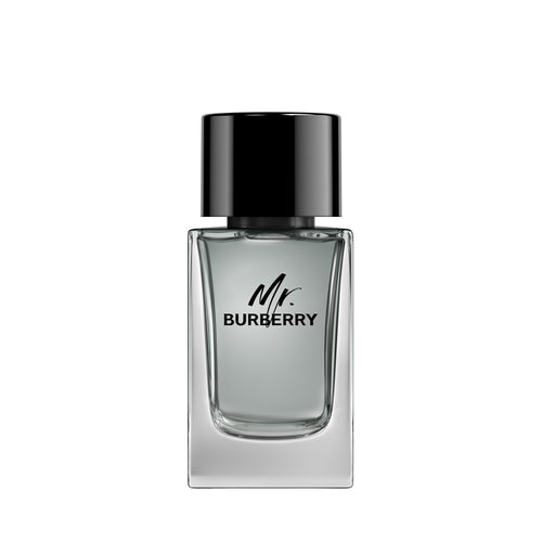 Burberry Mr. Burberry Eau De Toilette Men – 100ml