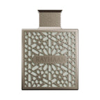 Rayhaan Terra Eau De Parfum For Men – 100ml