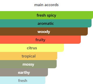 Coach Green Eau De Toilette For Men – Gift Set (100ml + 15ml + 100ml)